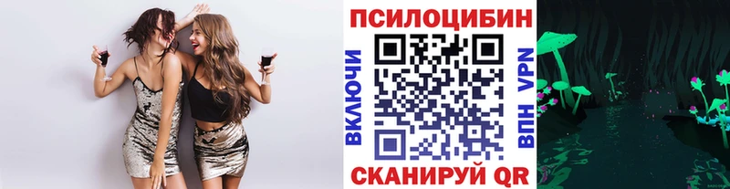Псилоцибиновые грибы прущие грибы  блэк спрут ссылка  маркетплейс телеграм  Кувандык 